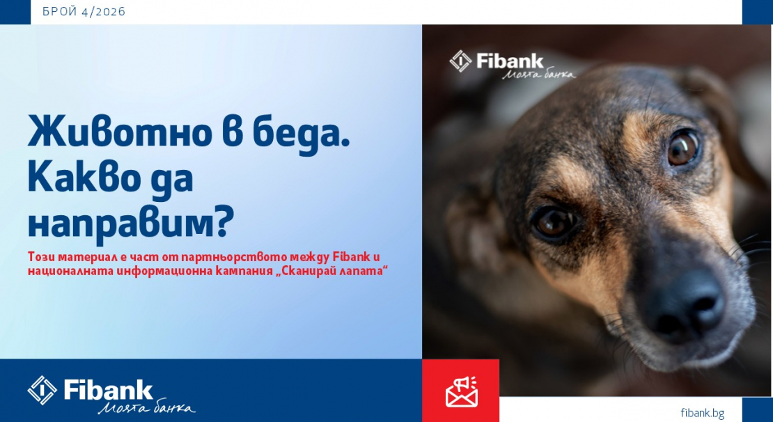 Животно в беда. Какво да направим?