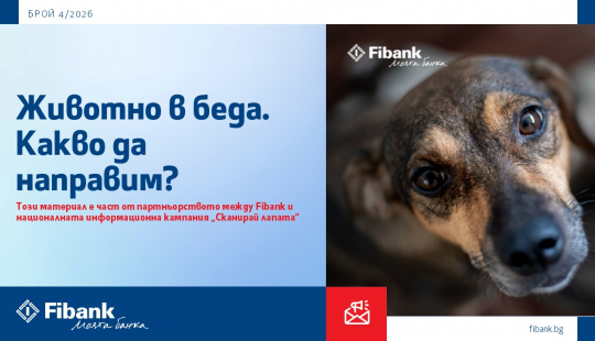 Животно в беда. Какво да направим?