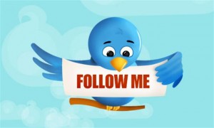 twitter_bird_follow_me__Small__bigger