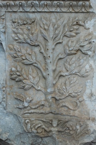 Life Tree Syracuse2015 306